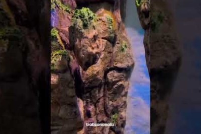 Dünyanın ilk ve tek tünel içi akvaryumu Trabzon’da