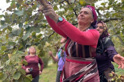 Milletvekili Suiçmez: Fındıkta bu fiyat, emek saygısızlığıdır!