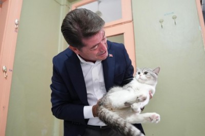 Başkan Kaya'dan sokak hayvanlarına destek sözü