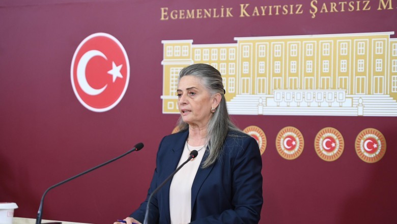CHP Trabzon Milletvekili Sibel Suiçmez: Çocukların en temel hakları ihlal ediliyor