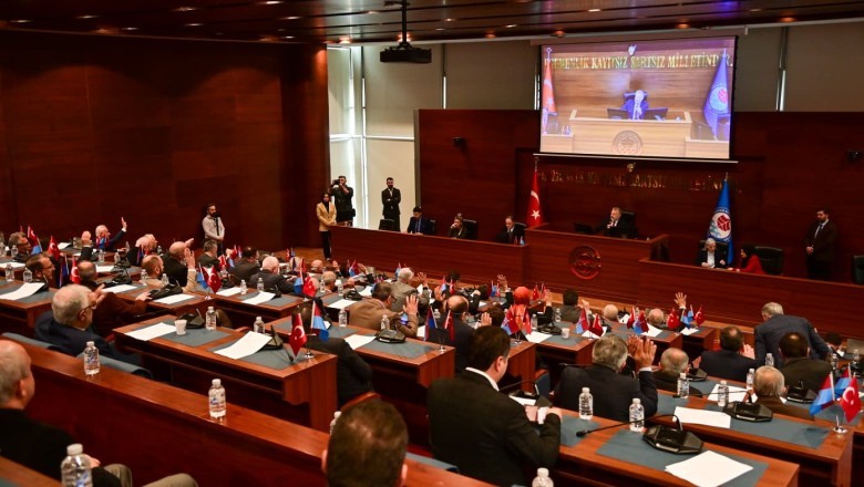 Trabzon'da sokak hayvanları için düzenleme