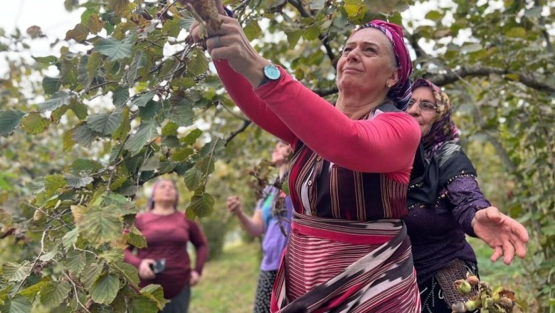 YENİ Parti Trabzon Milletvekili Sibel Suiçmez: Karadeniz'in emeğini sömürmeyin